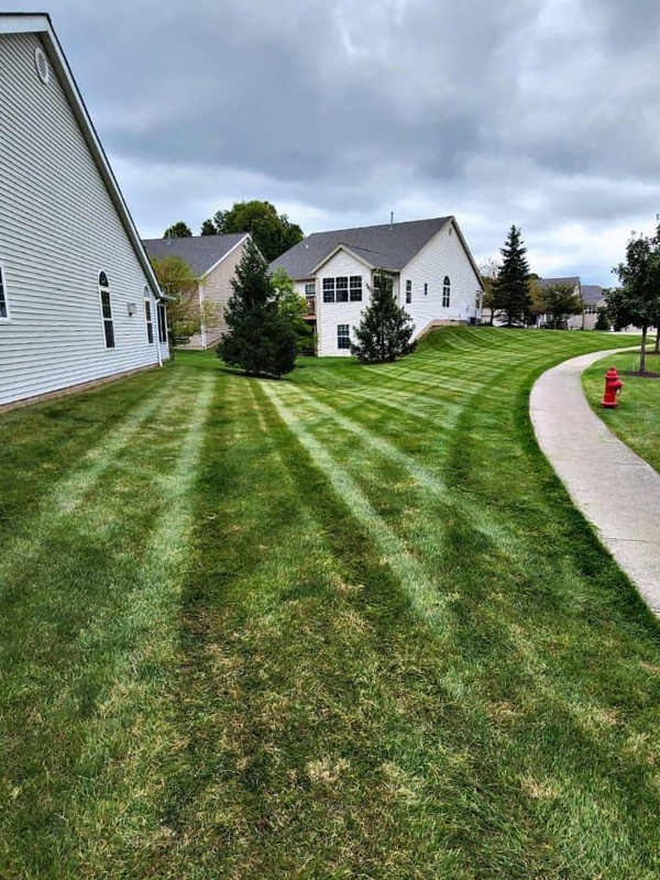 Lawn maintenance, Willoughby, OH